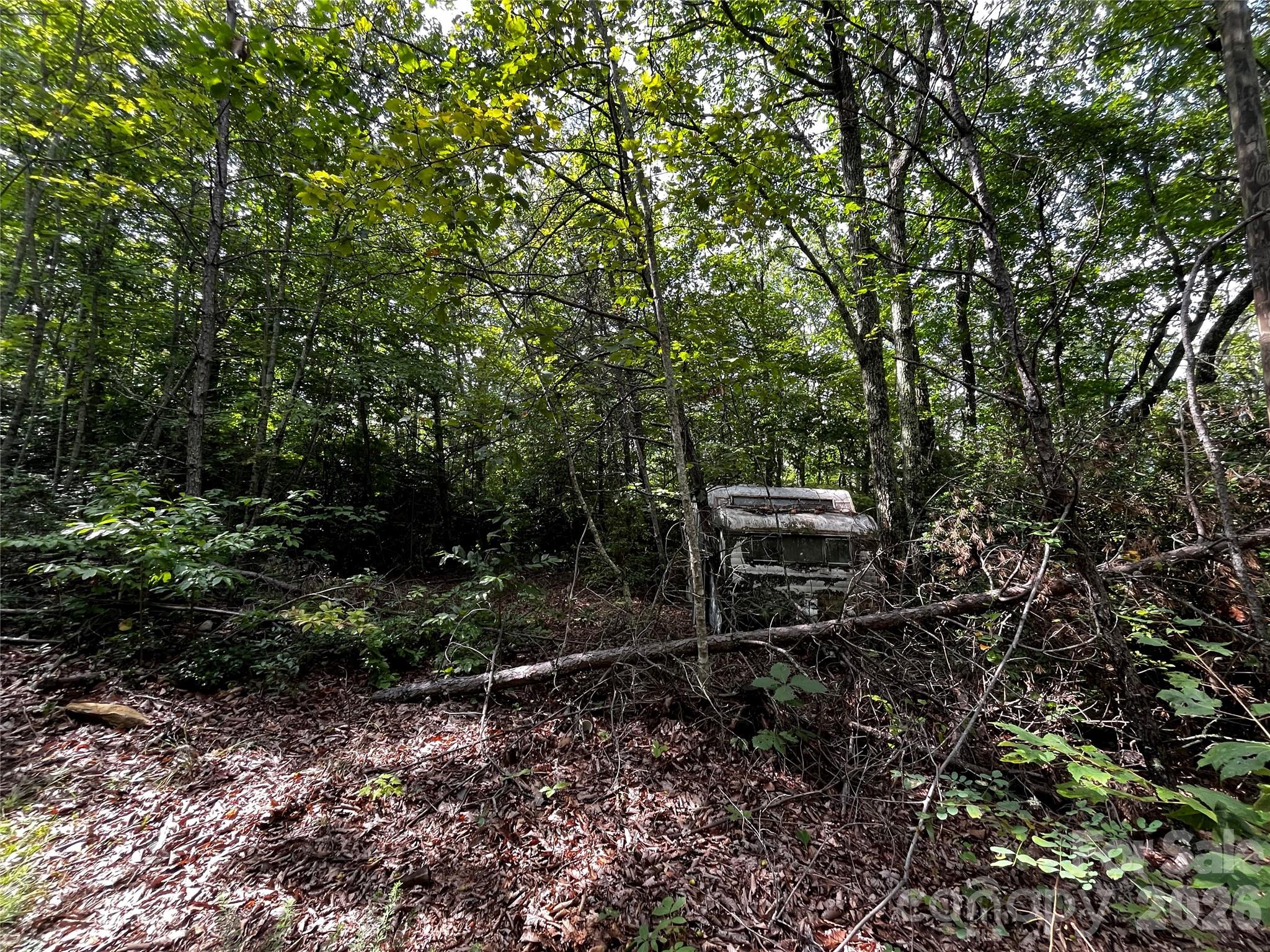 462 Autumn Forest Drive Property Photo 6
