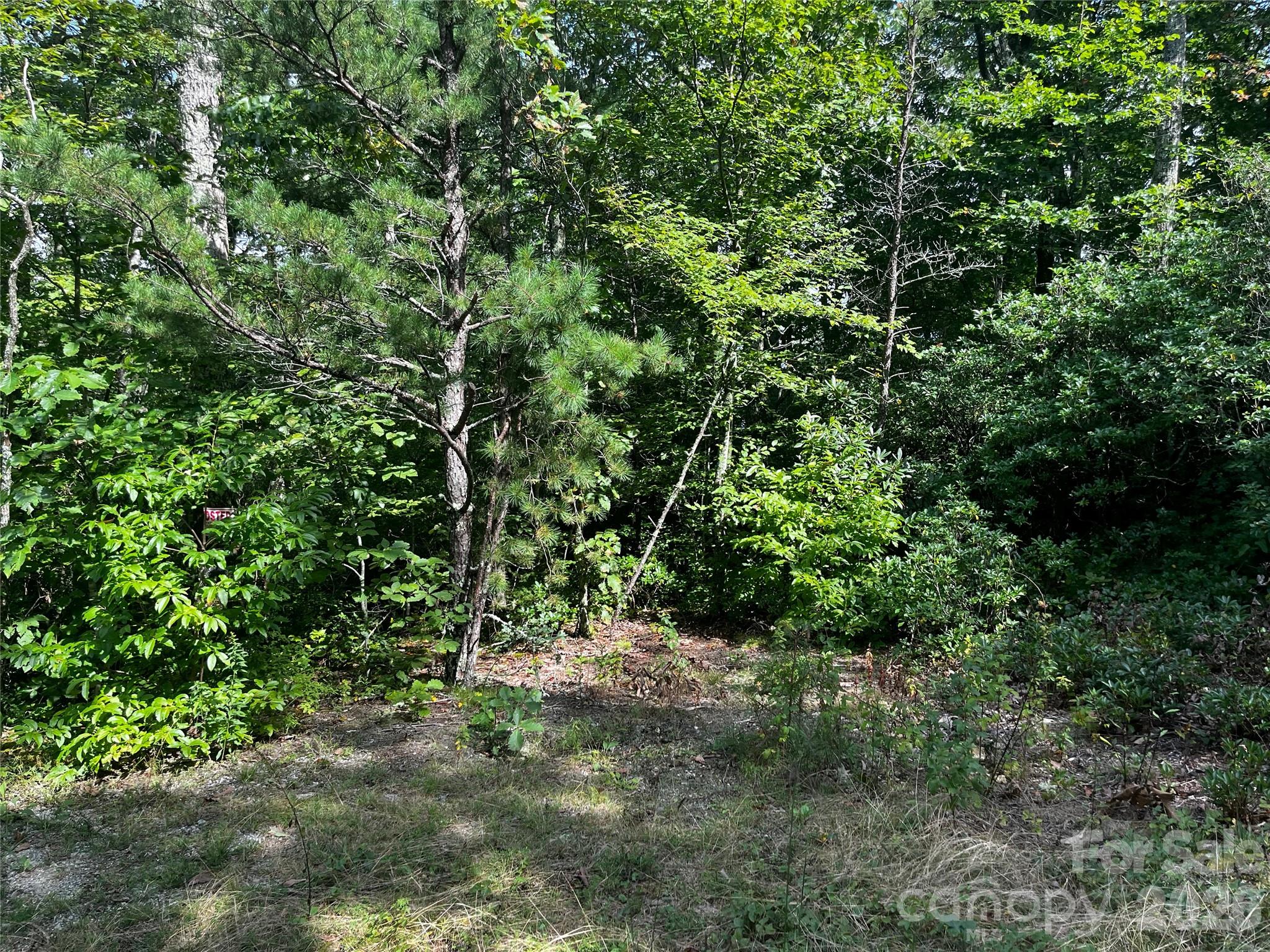 462 Autumn Forest Drive Property Photo 8