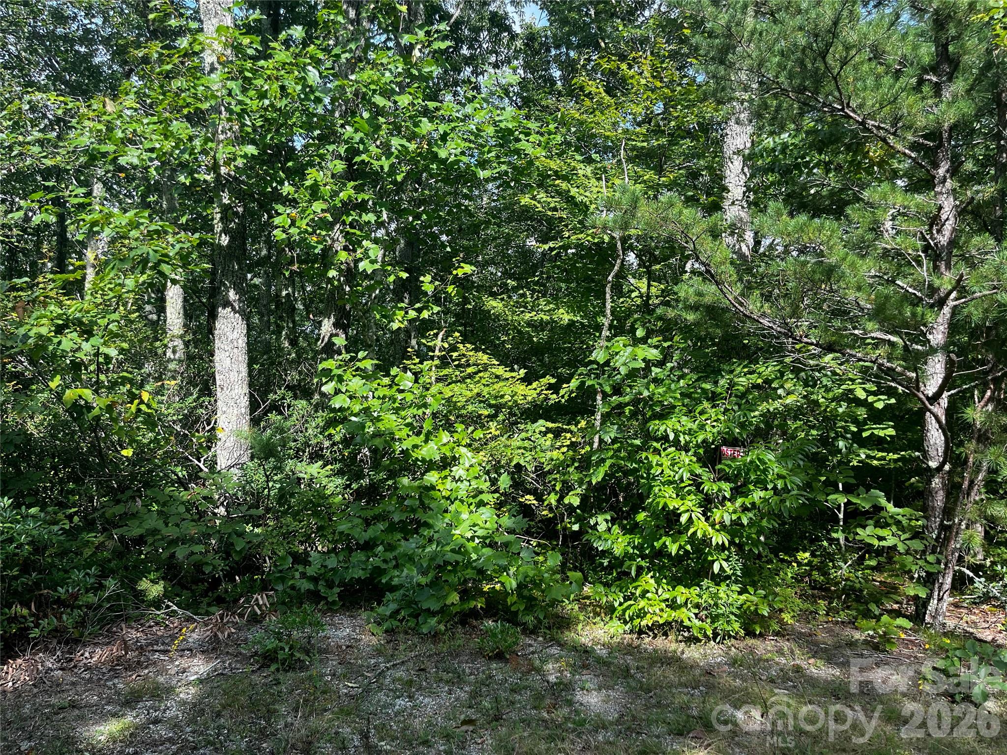 462 Autumn Forest Drive Property Photo 9