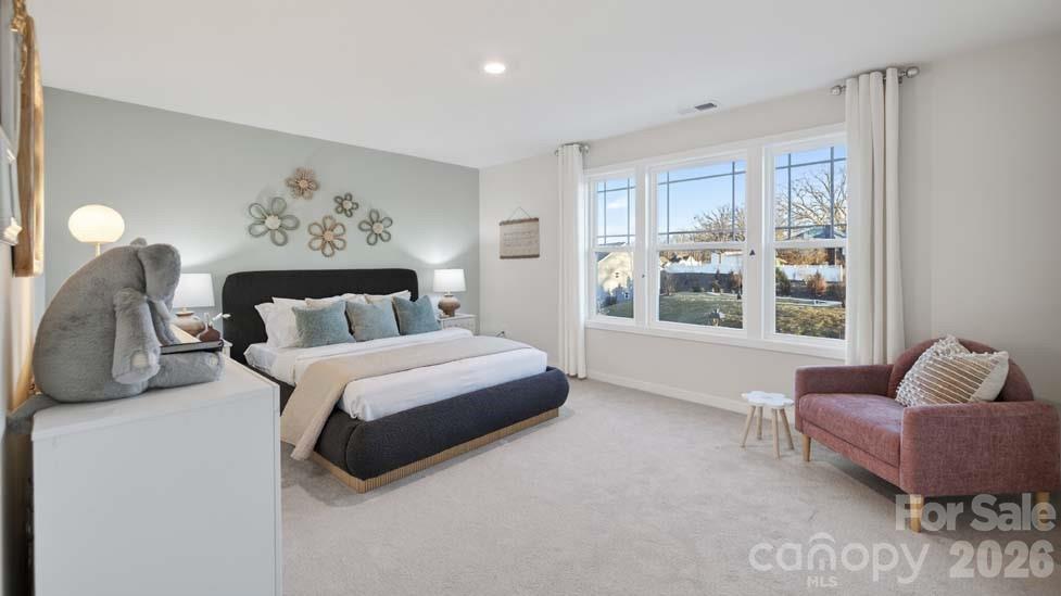 1036 Tundra Swan Drive Property Photo 14
