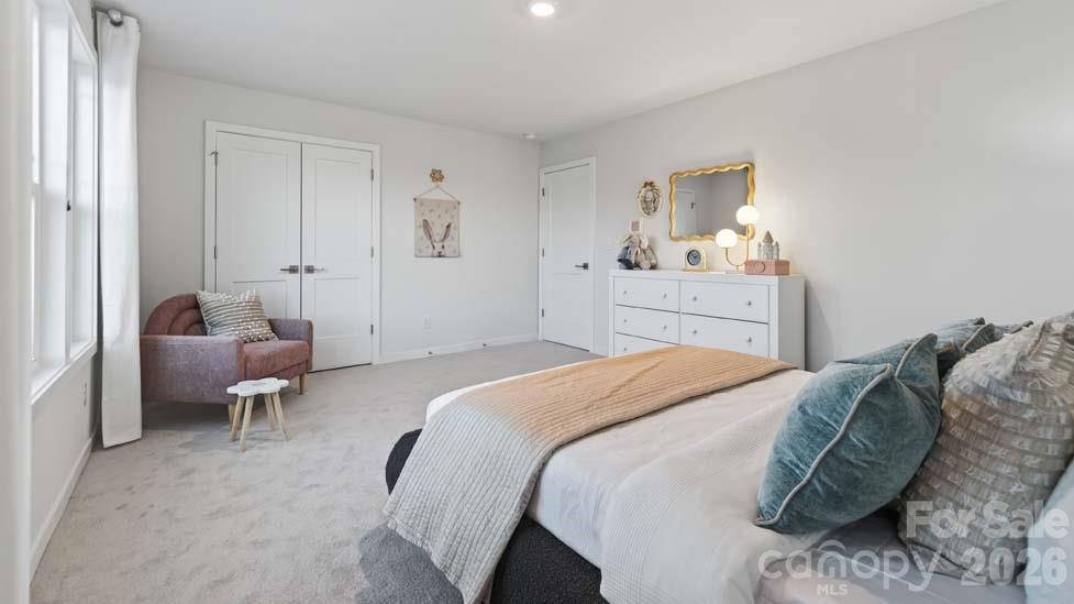 1036 Tundra Swan Drive Property Photo 16