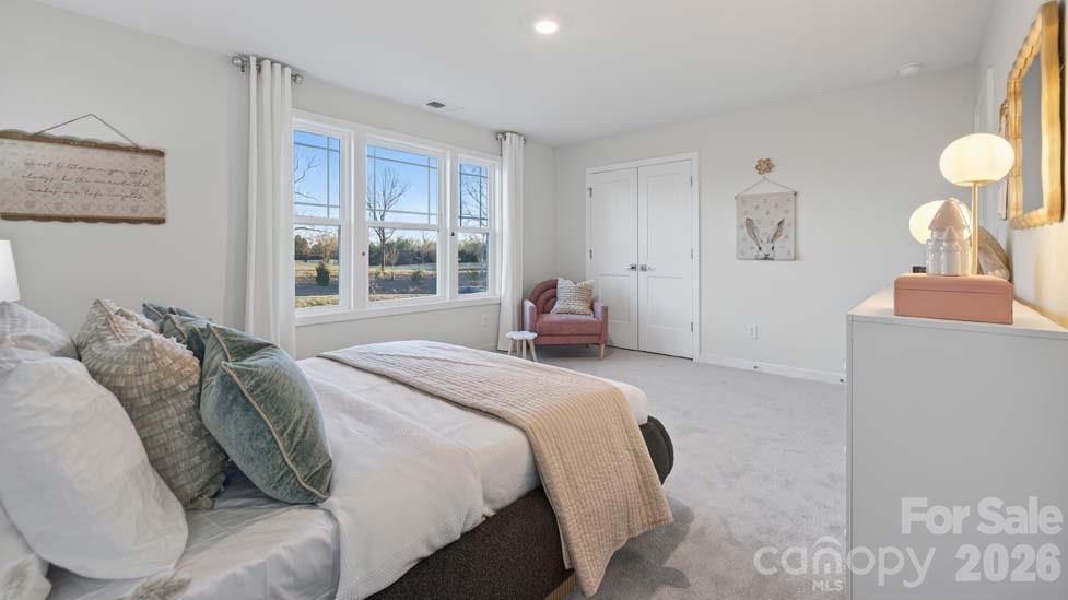 1036 Tundra Swan Drive Property Photo 17