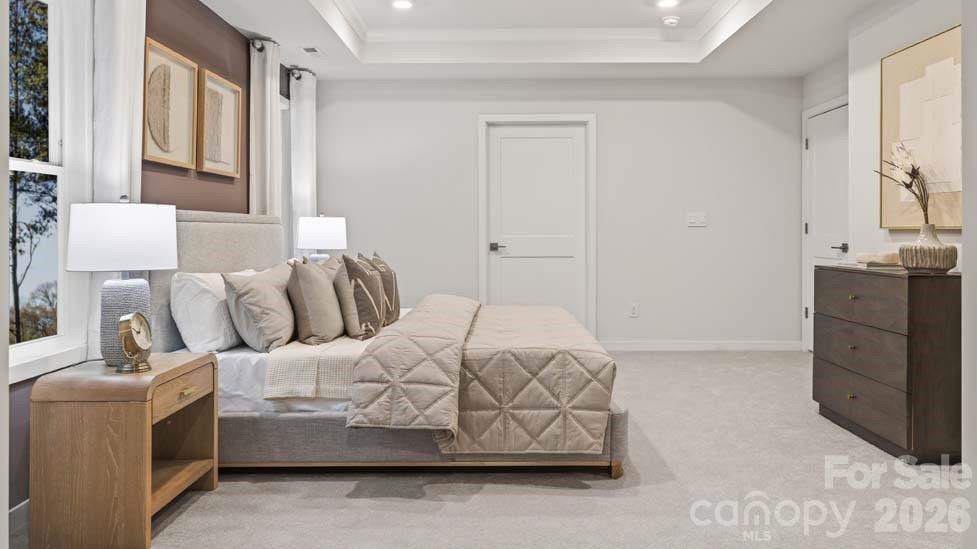 1036 Tundra Swan Drive Property Photo 23
