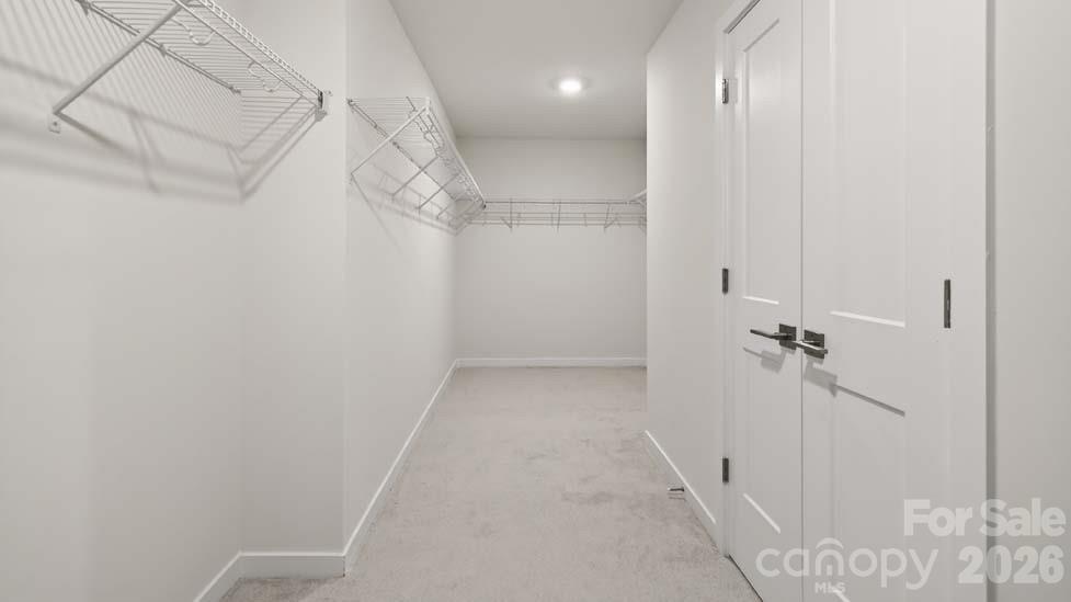 1036 Tundra Swan Drive Property Photo 29