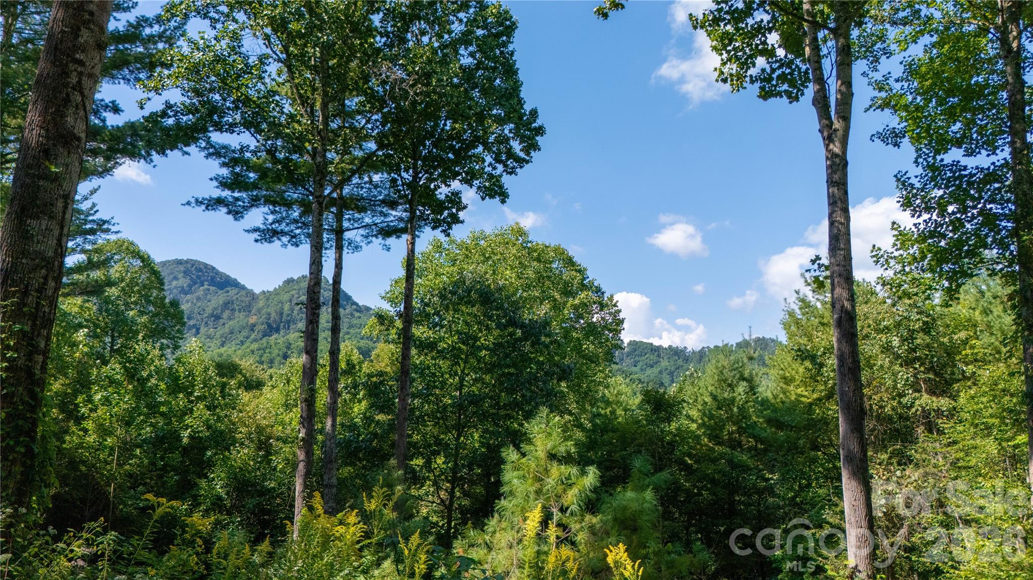 319 Dancing Leaf Lane Property Photo 13