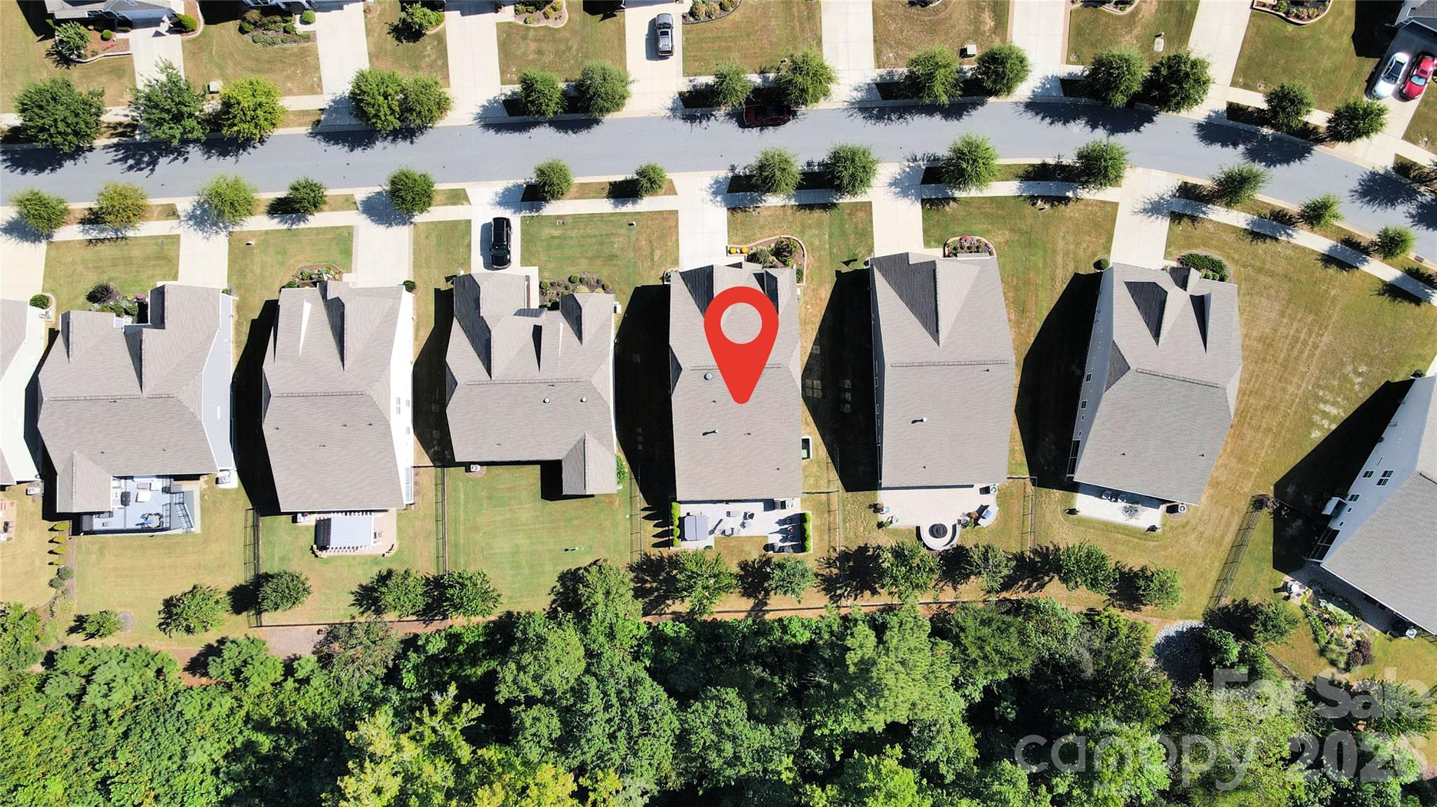 317 Picasso Trail Property Photo 36