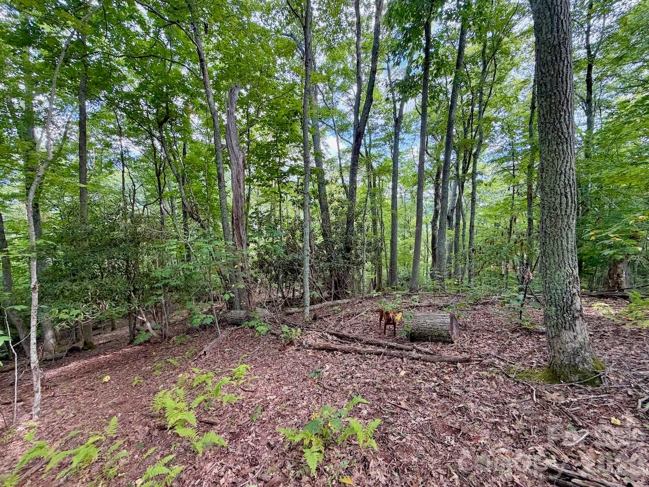 TBD Galax Lane 45 Property Photo 1