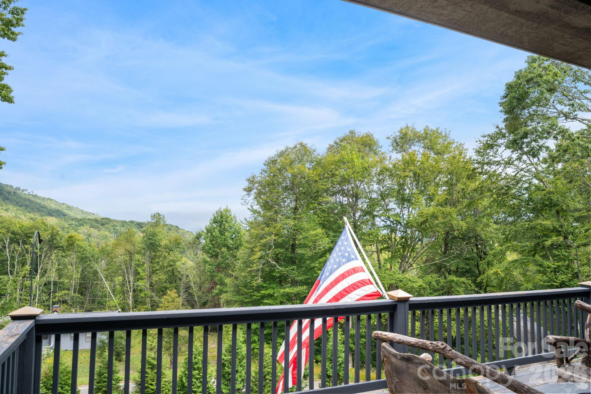 4968 Hickory Nut Gap Road Property Photo 16