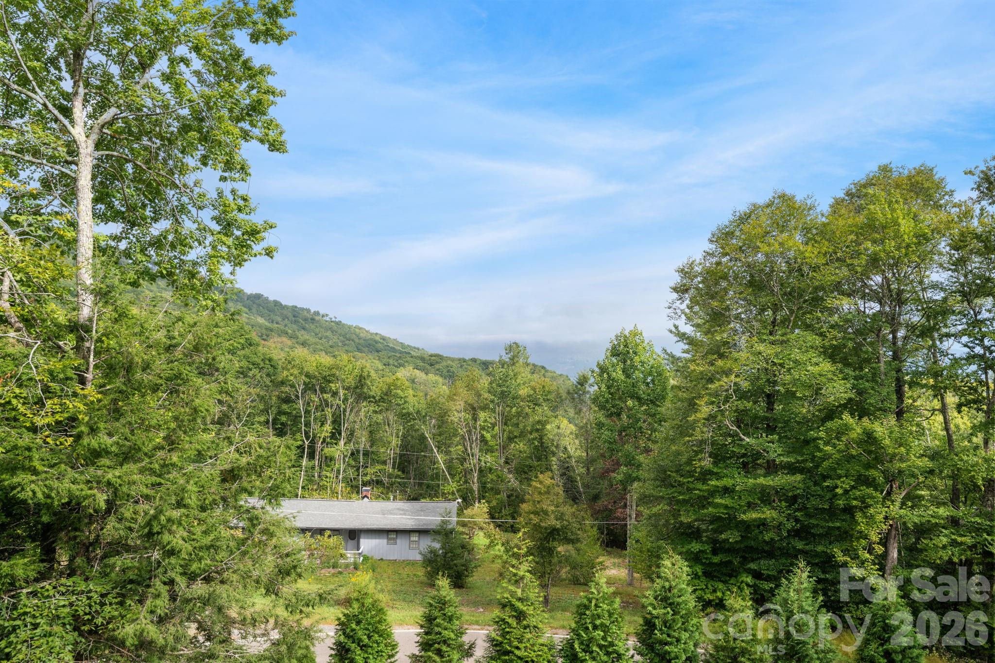 4968 Hickory Nut Gap Road Property Photo 18