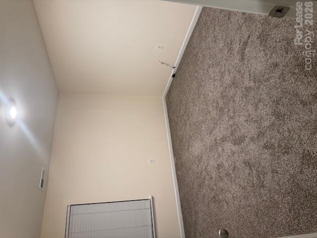 1256 Melon Colony Avenue Property Photo 14