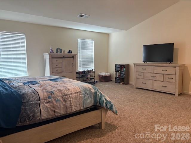 1256 Melon Colony Avenue Property Photo 16
