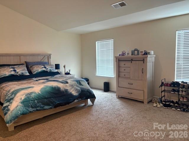 1256 Melon Colony Avenue Property Photo 17