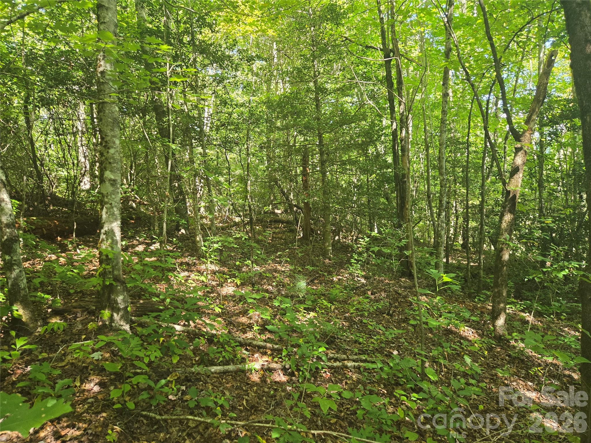 000 Sugar Fork Road Property Photo 13