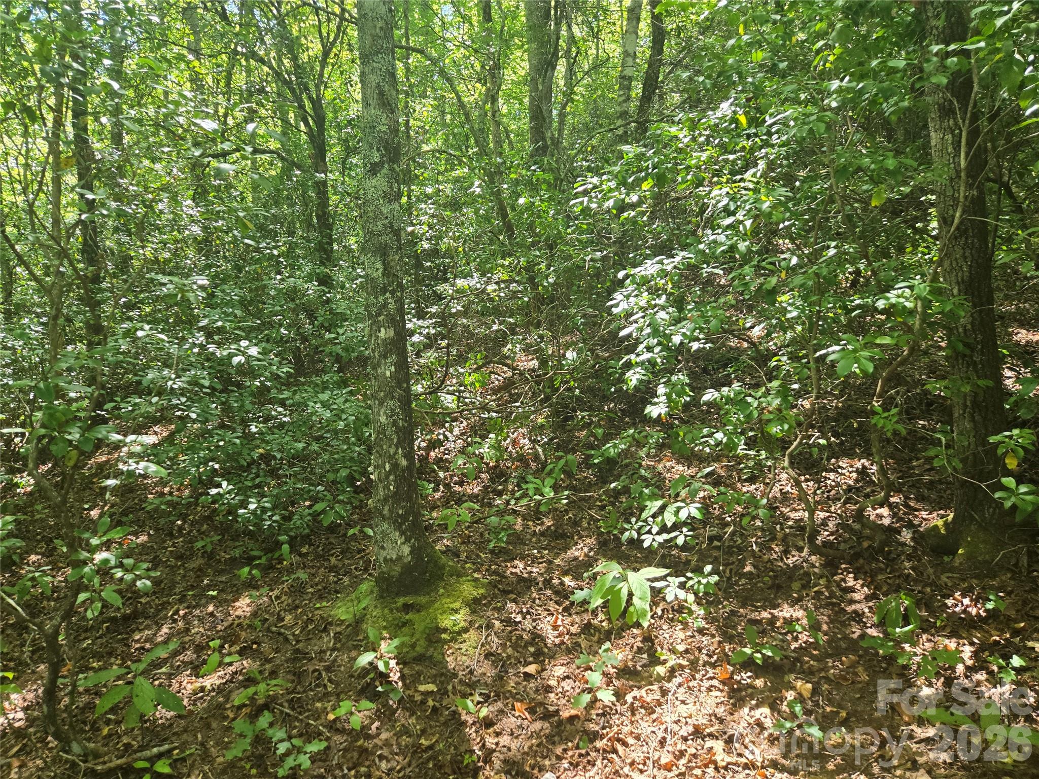 000 Sugar Fork Road Property Photo 14