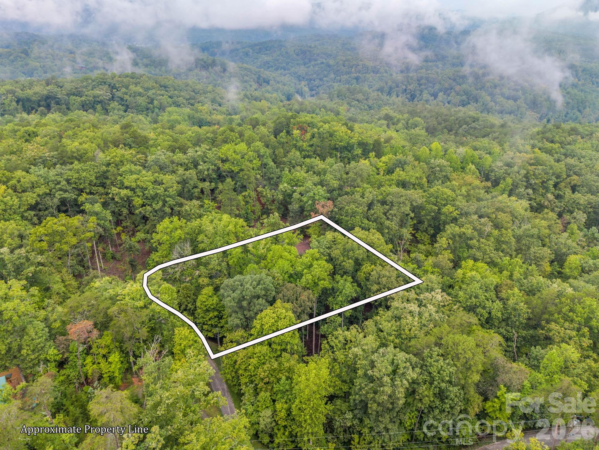 344 Wolf Trail Property Photo 35