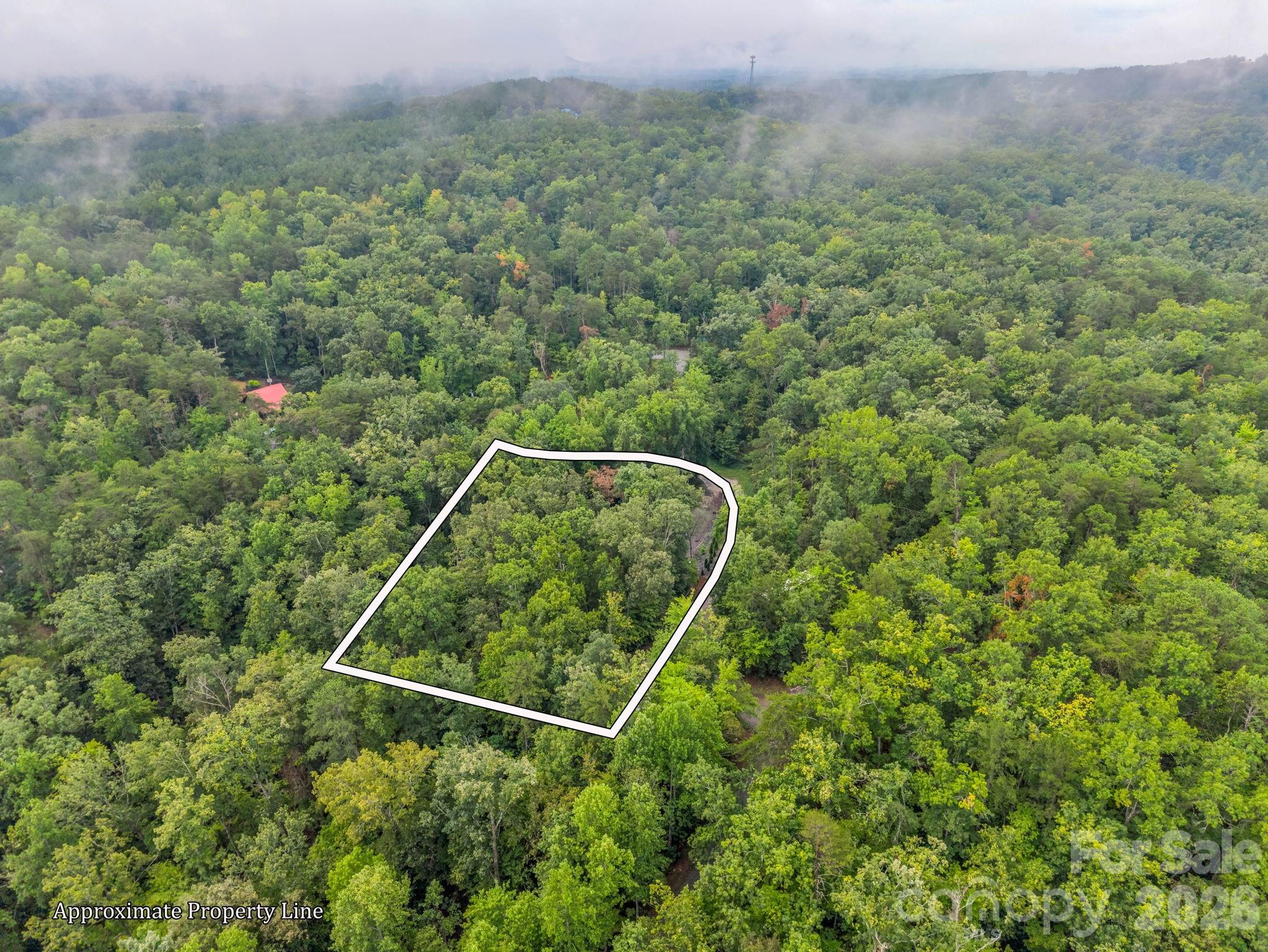 344 Wolf Trail Property Photo 36