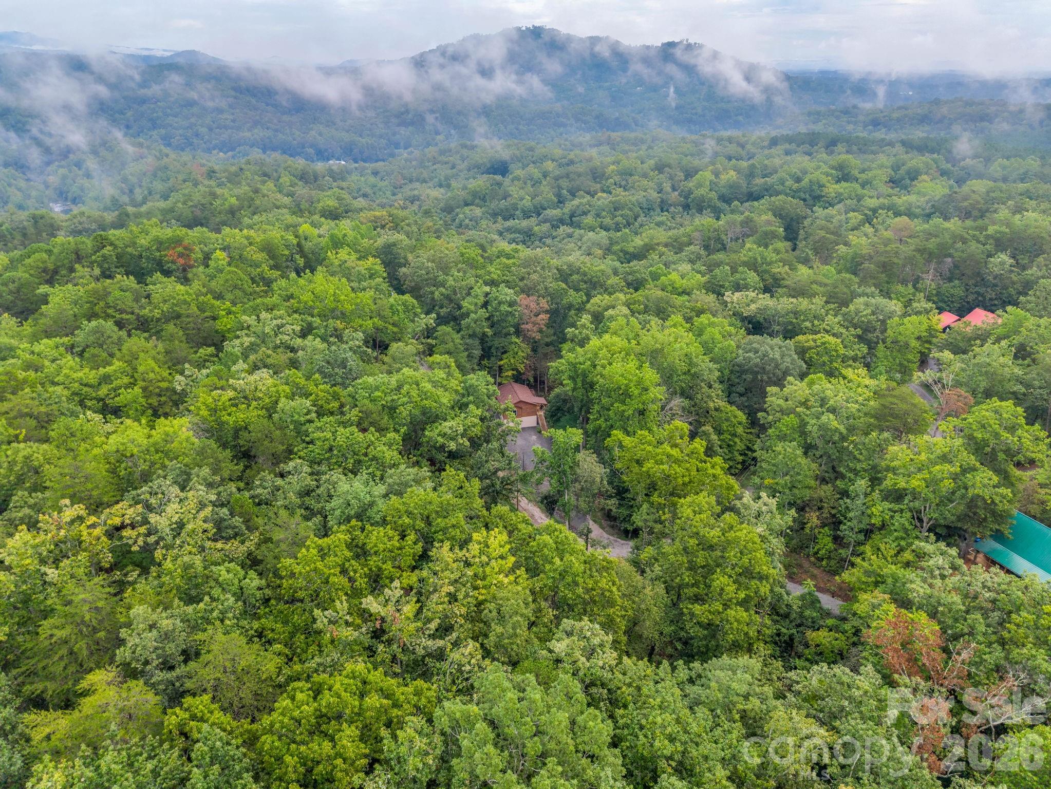 344 Wolf Trail Property Photo 40