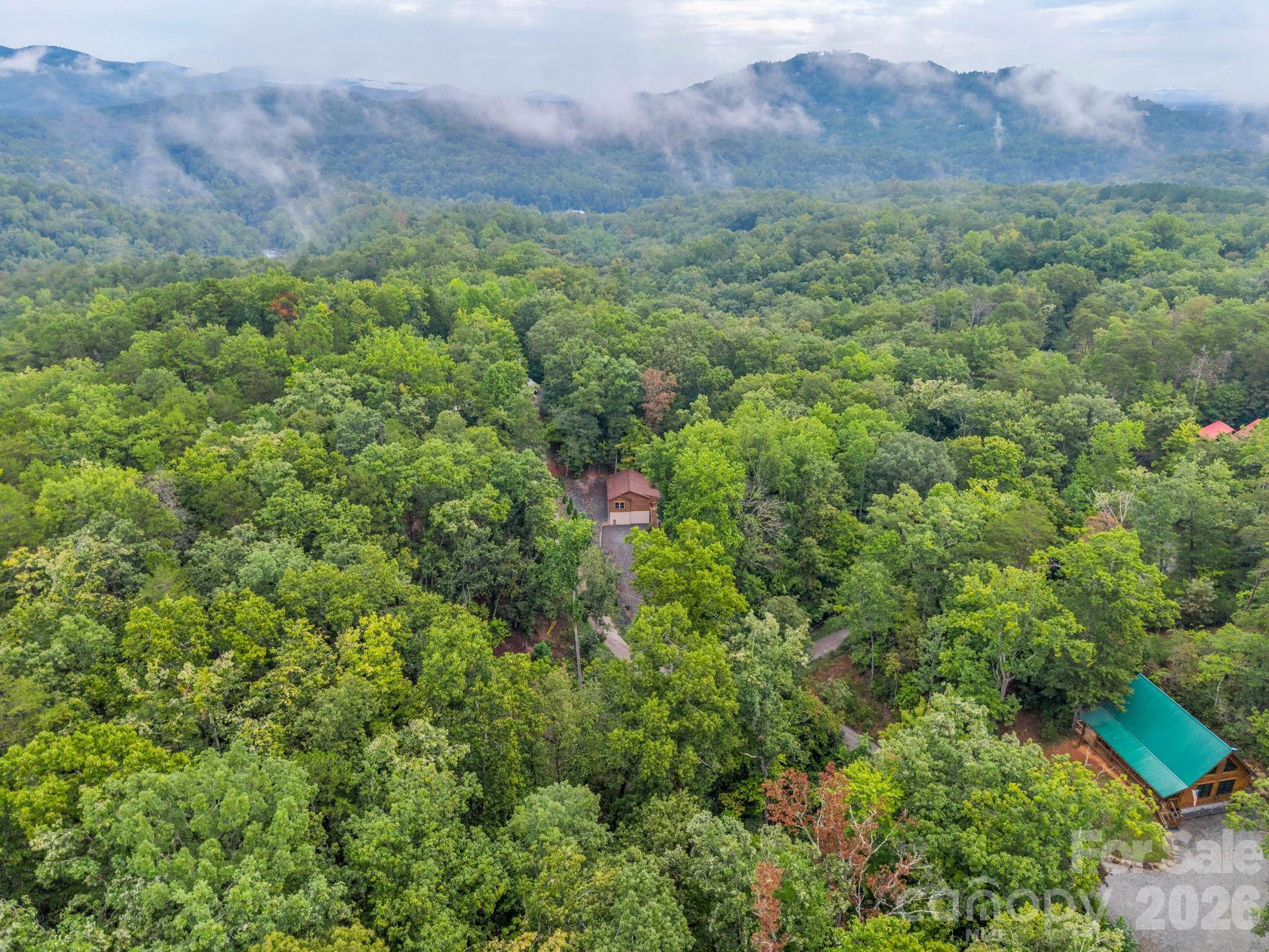 344 Wolf Trail Property Photo 41