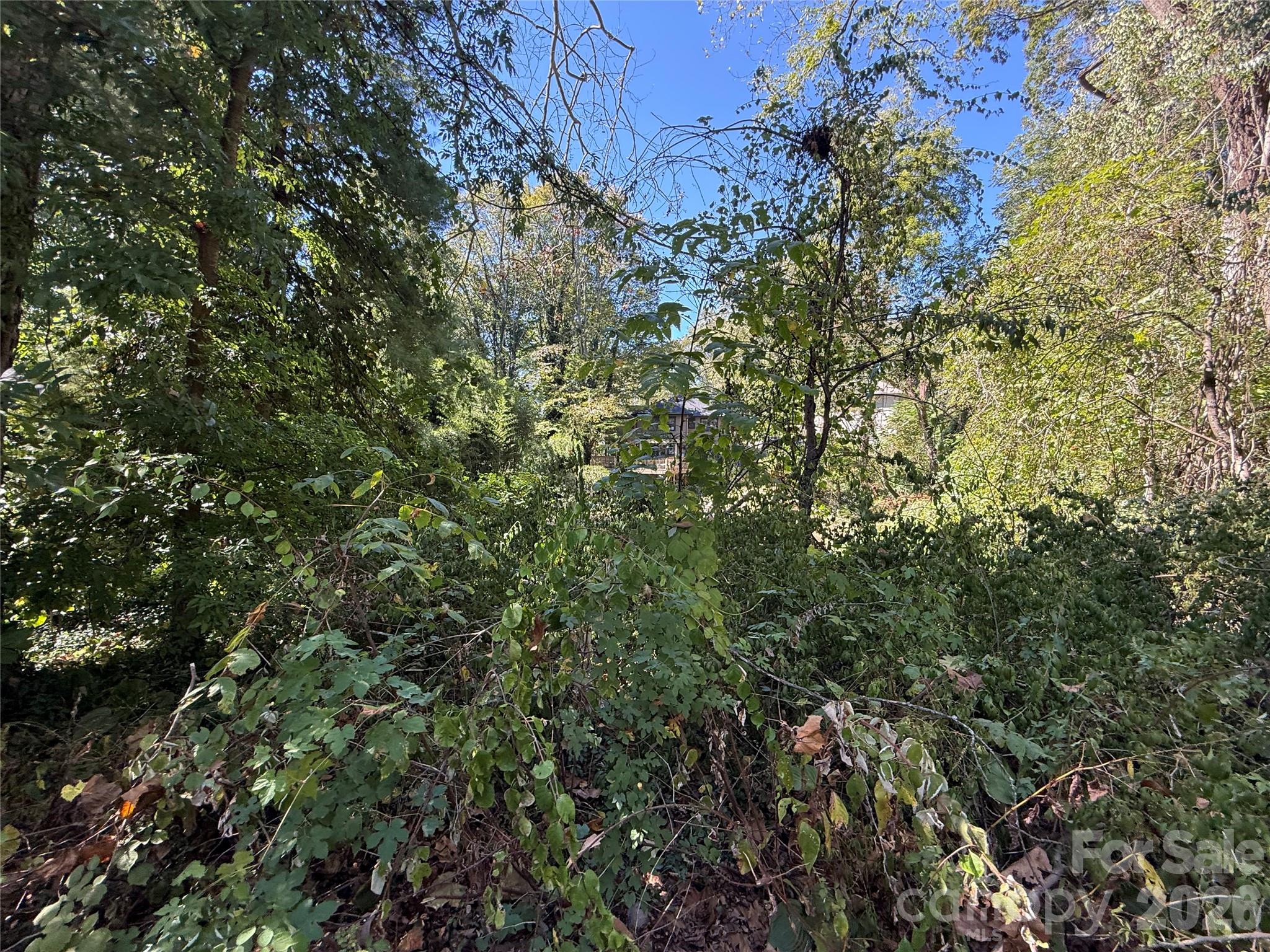 99999 Roebling Circle 40 Property Photo 8