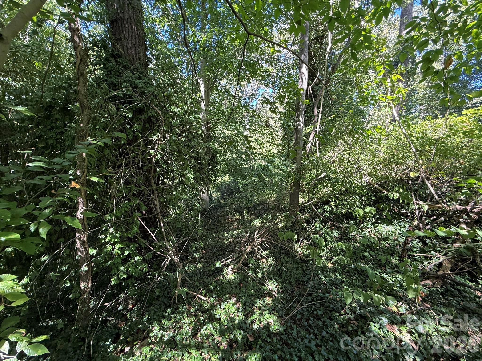 99999 Roebling Circle 40 Property Photo 11