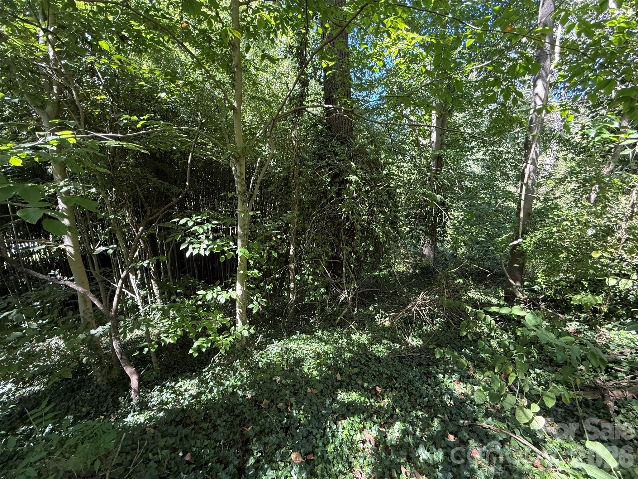 99999 Roebling Circle 40 Property Photo 16