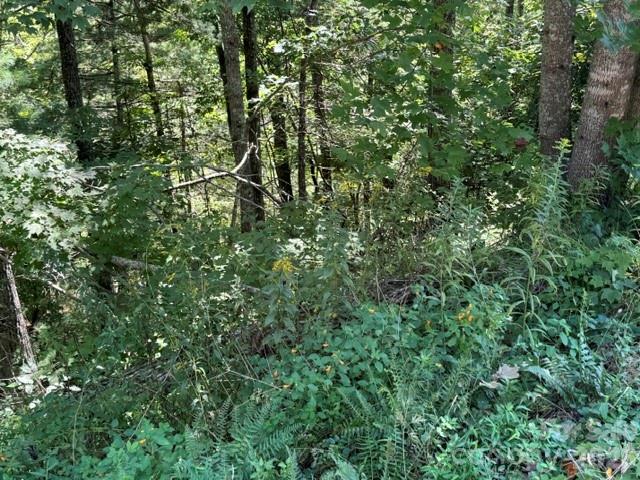 Tbd Jarvis Drive Property Photo 3