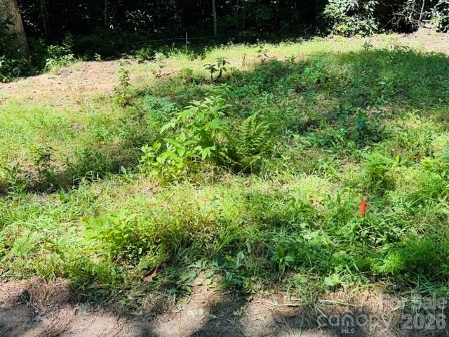 Tbd Jarvis Drive Property Photo 5