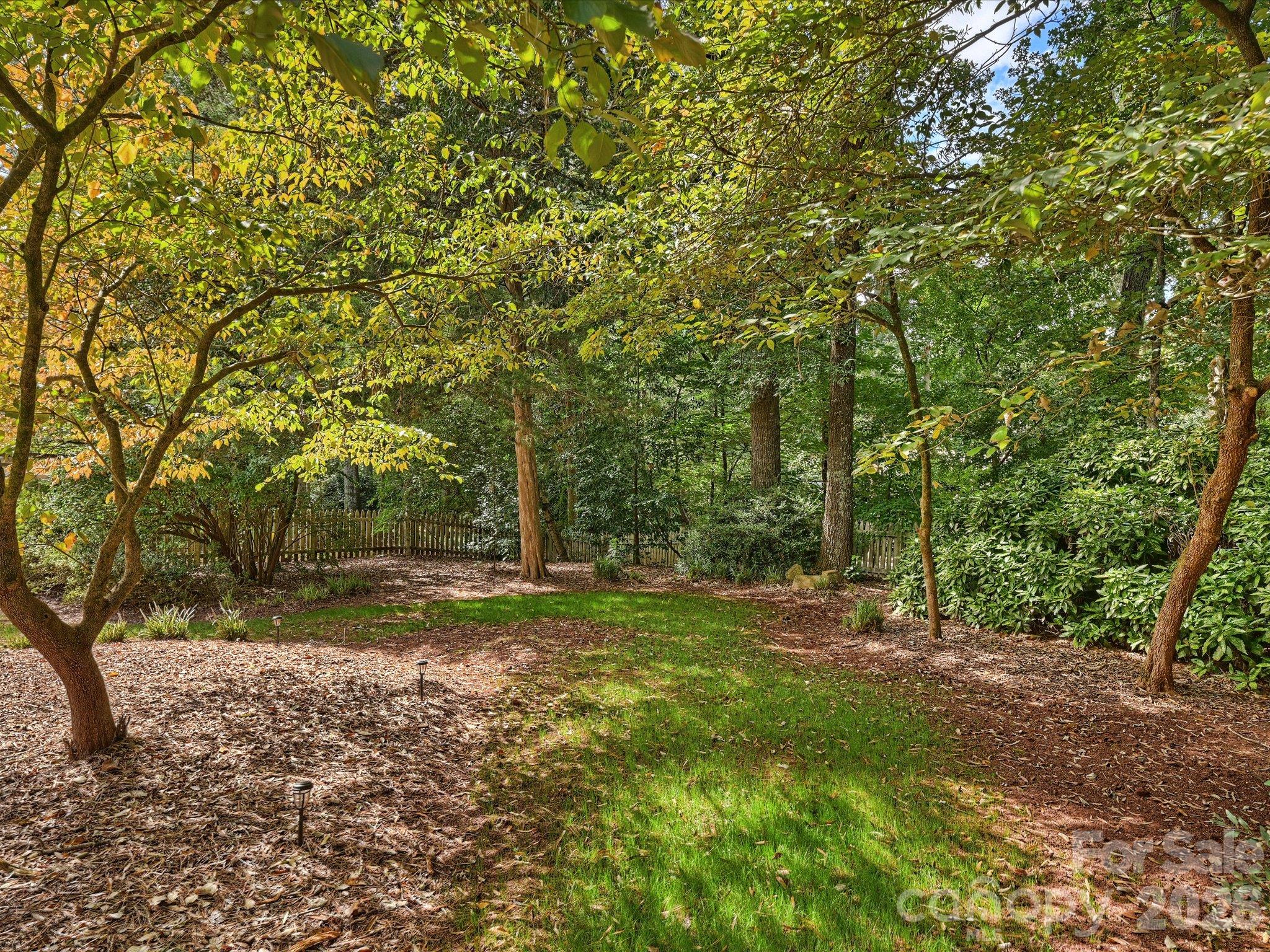 11925 Braid Hills Drive Property Photo 46