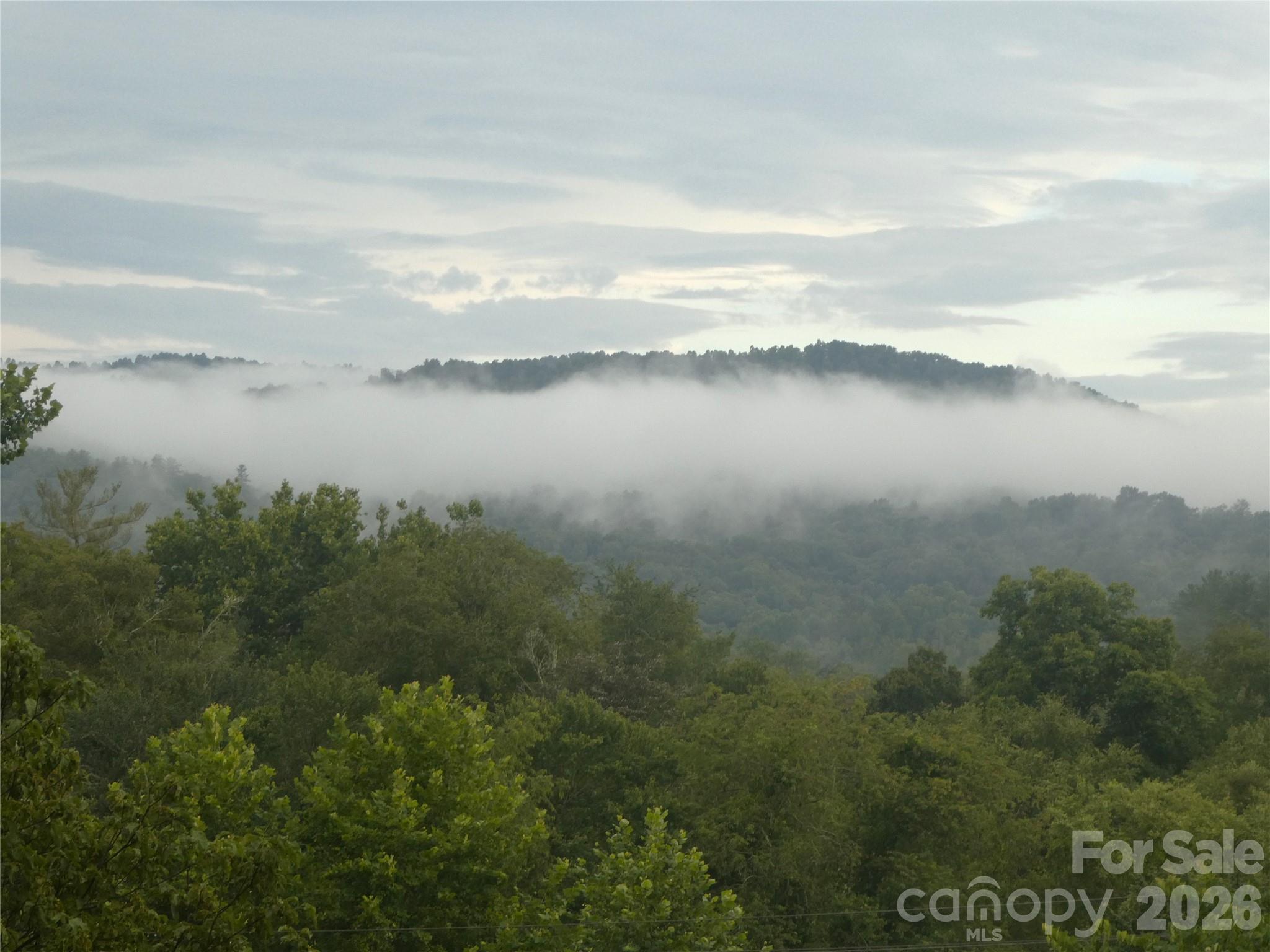 2008 Deep Woods Drive Property Photo 2