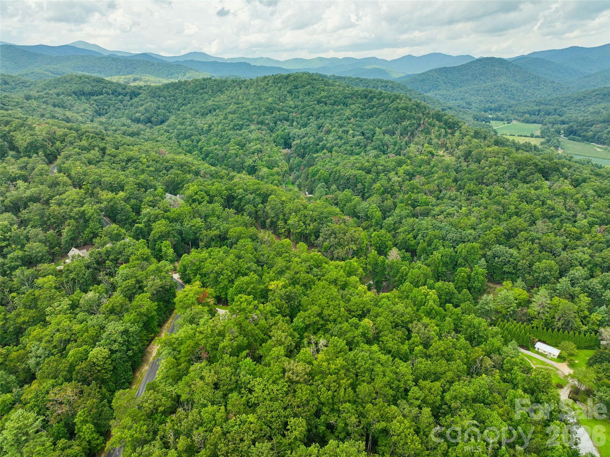 230 Shining Rock Path 64 Property Photo 4