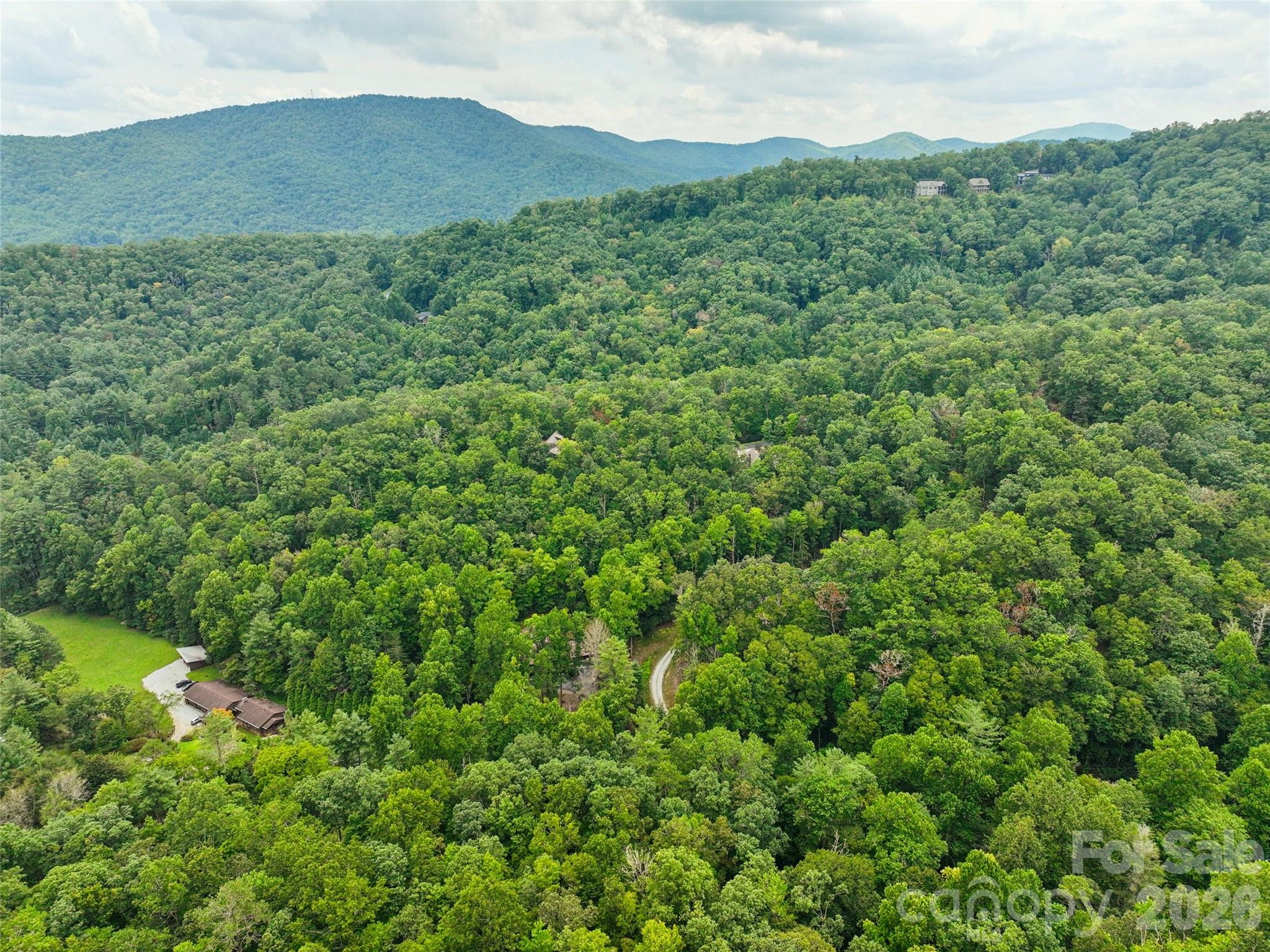 230 Shining Rock Path 64 Property Photo 8