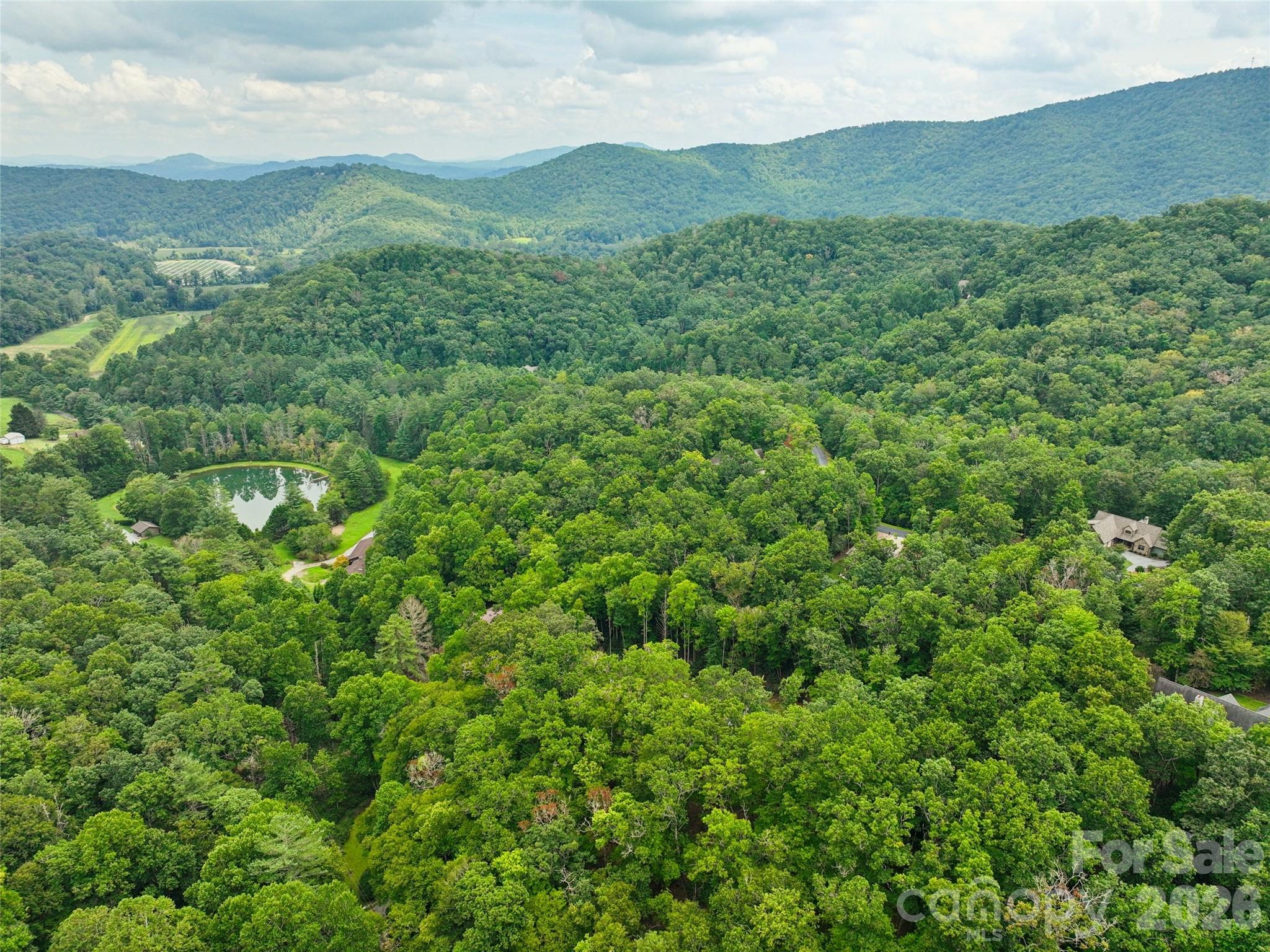 230 Shining Rock Path 64 Property Photo 9