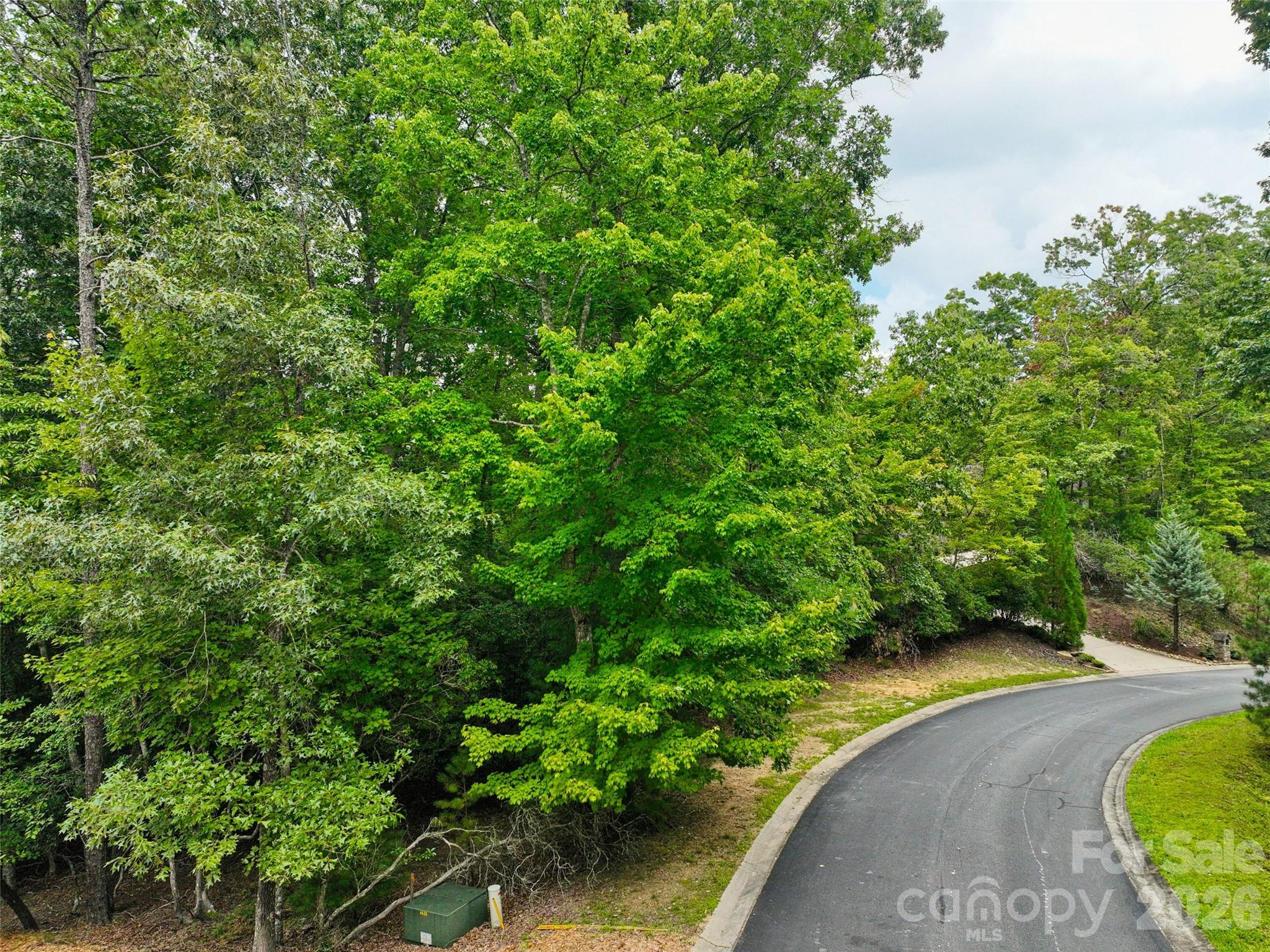 230 Shining Rock Path 64 Property Photo 12