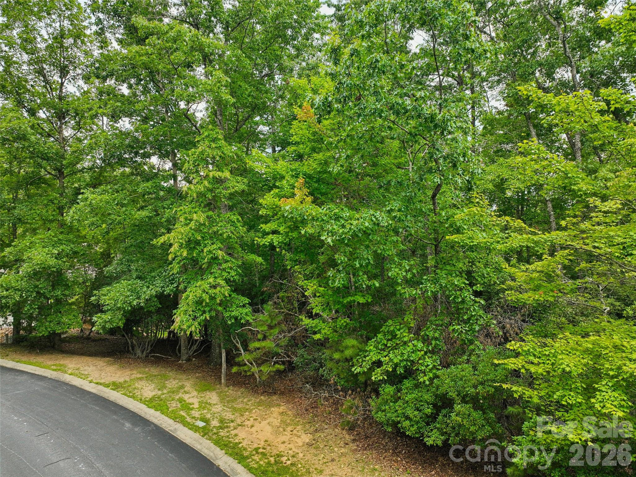 230 Shining Rock Path 64 Property Photo 13