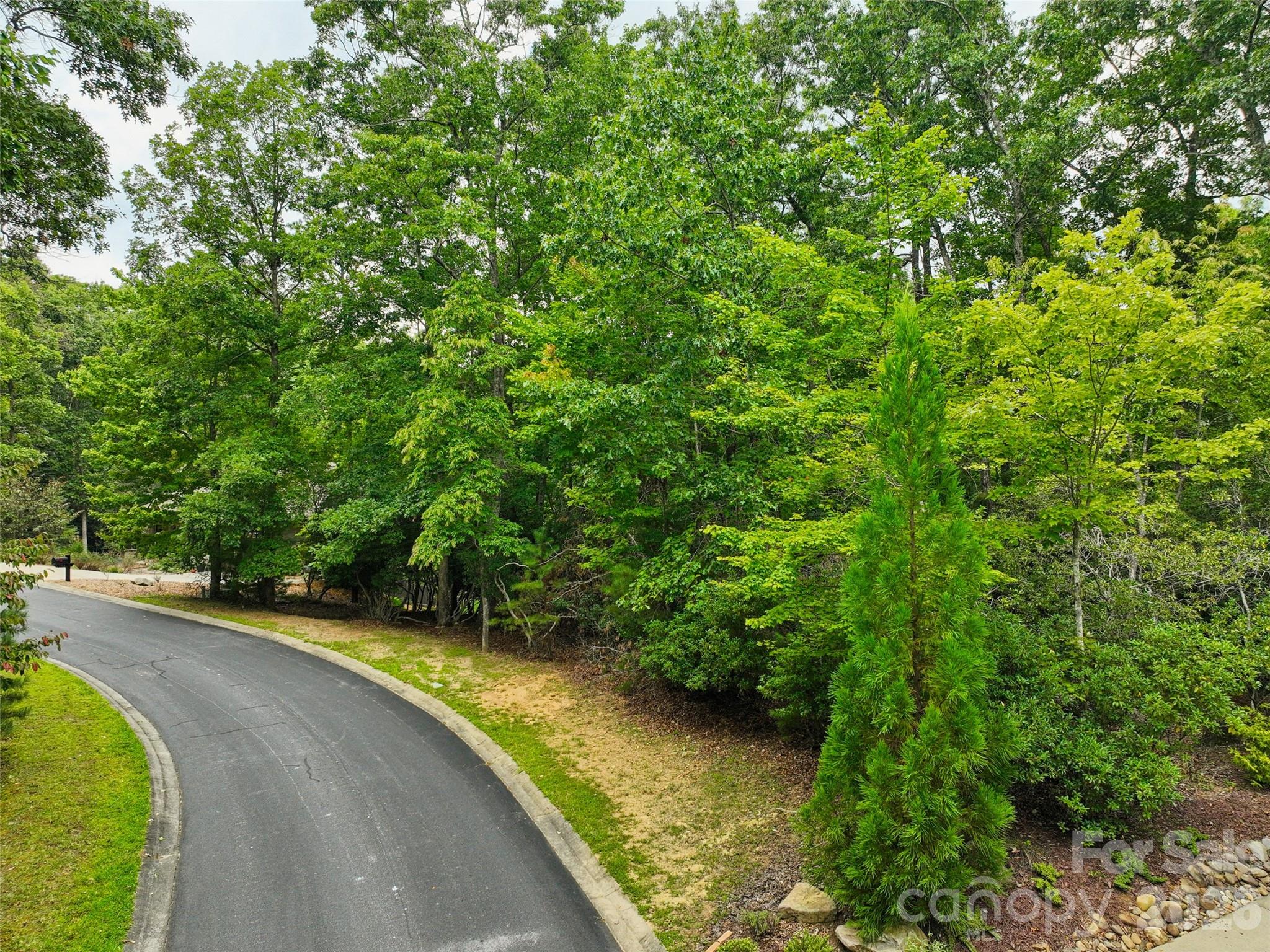 230 Shining Rock Path 64 Property Photo 14