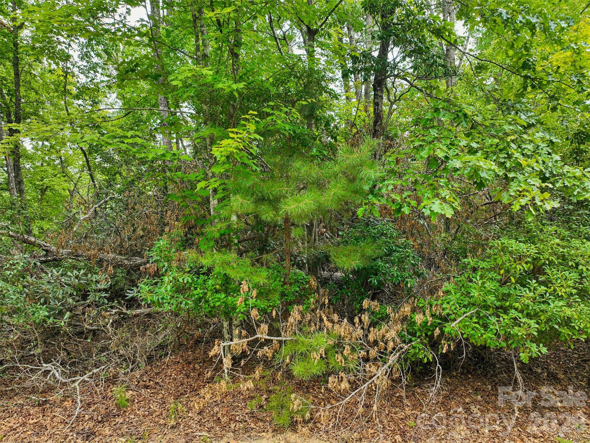 230 Shining Rock Path 64 Property Photo 15