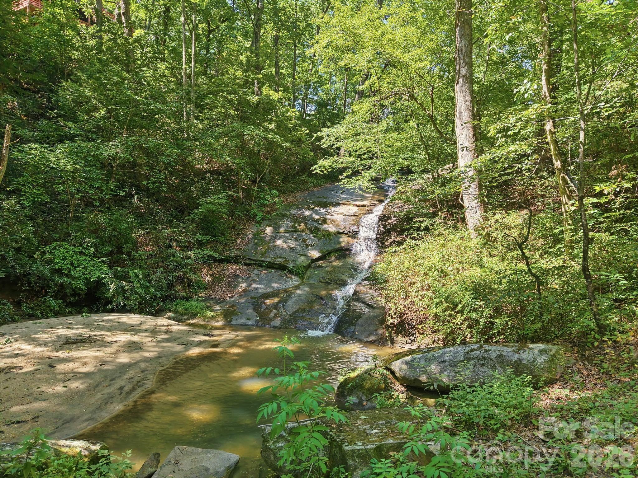 132 Falls View Trail Property Photo 43
