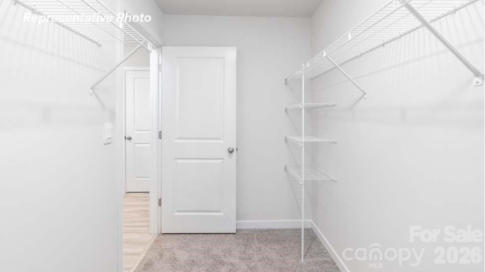 5120 Parker Forest Road Property Photo 10