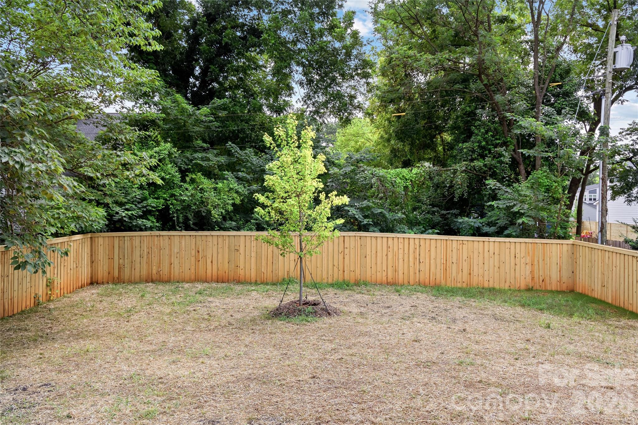 1210 Pegram Street Property Photo 41