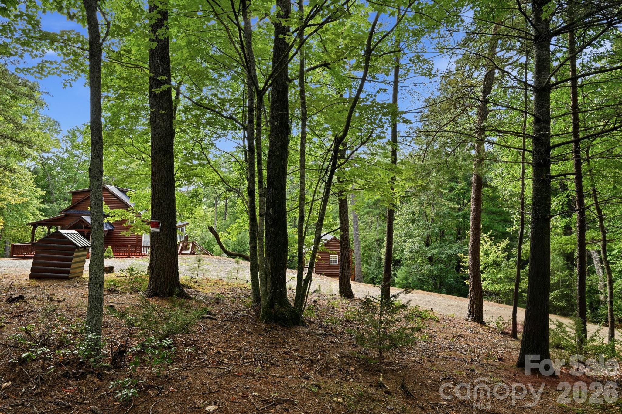 1158 Staghorn Road Property Photo 39