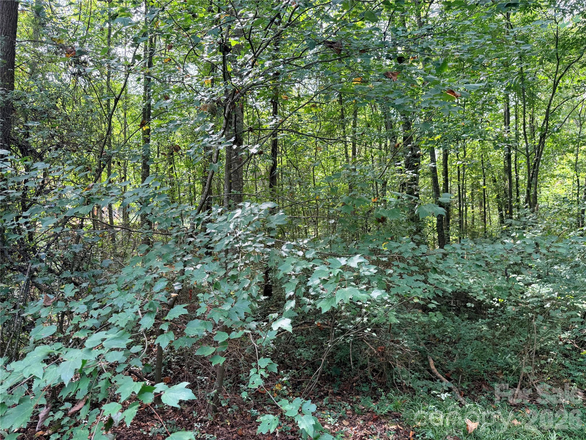 0 Carmi Lane Property Photo 1