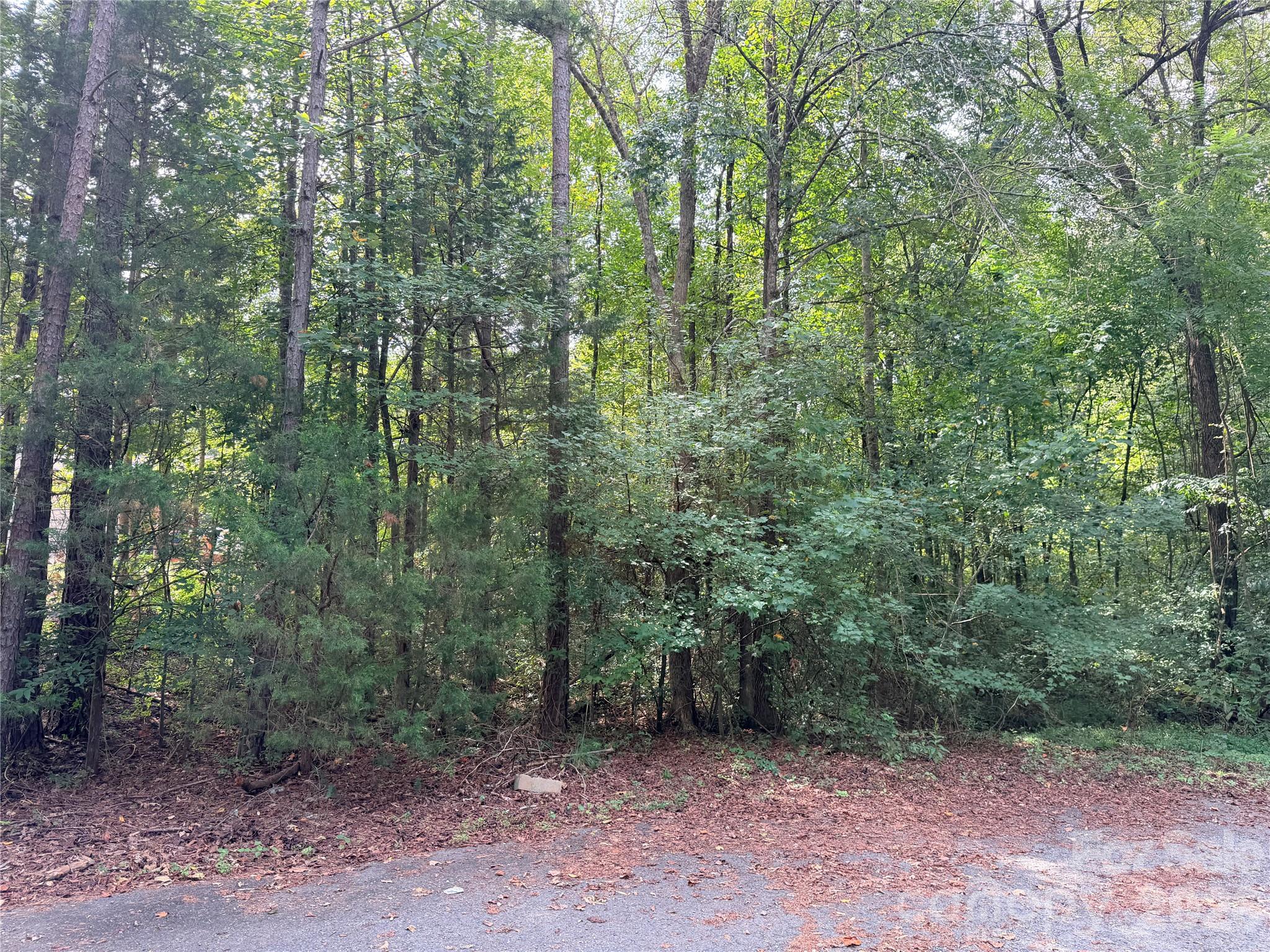 0 Carmi Lane Property Photo 2