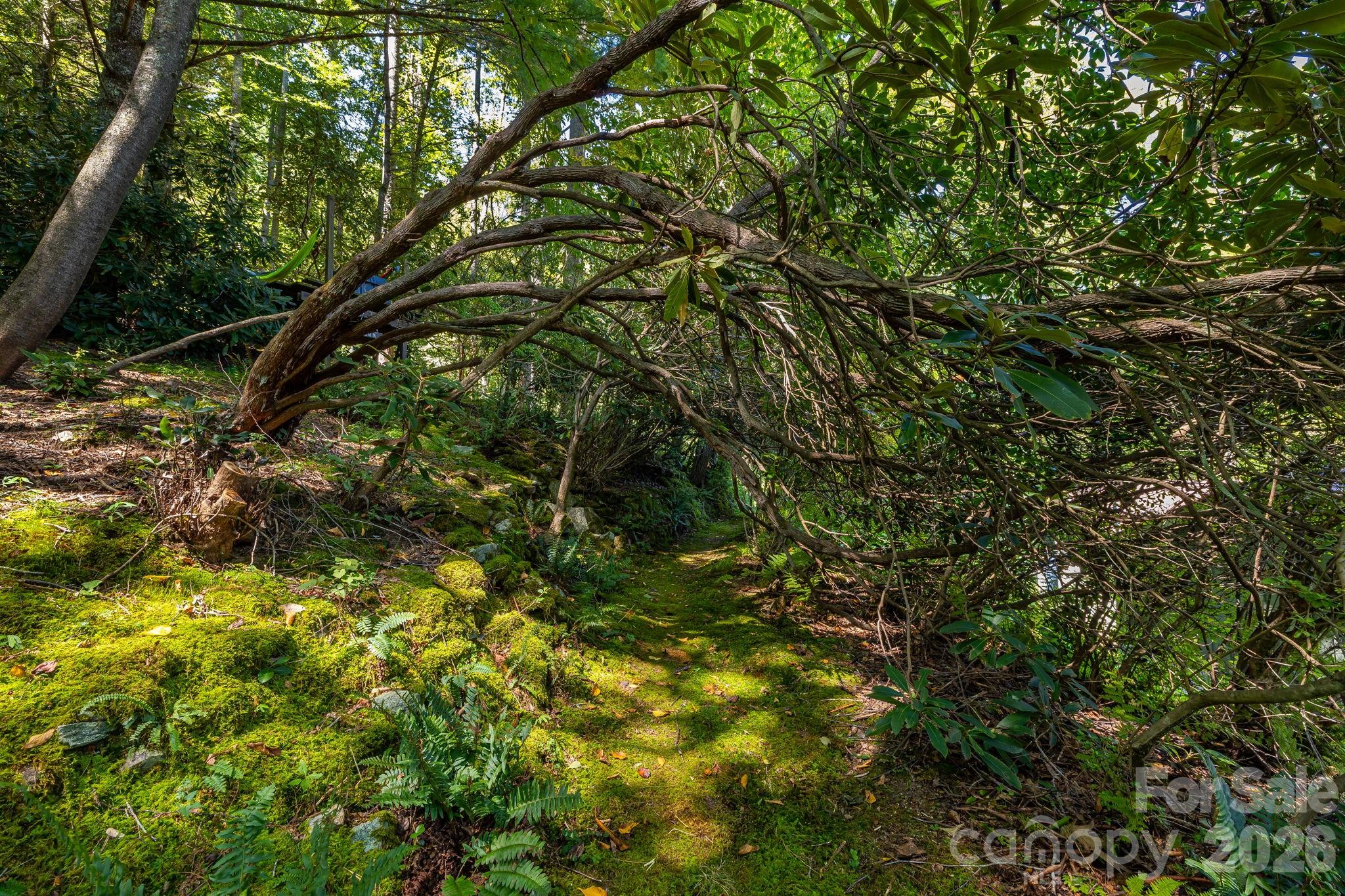258 Old Homestead Road Property Photo 41