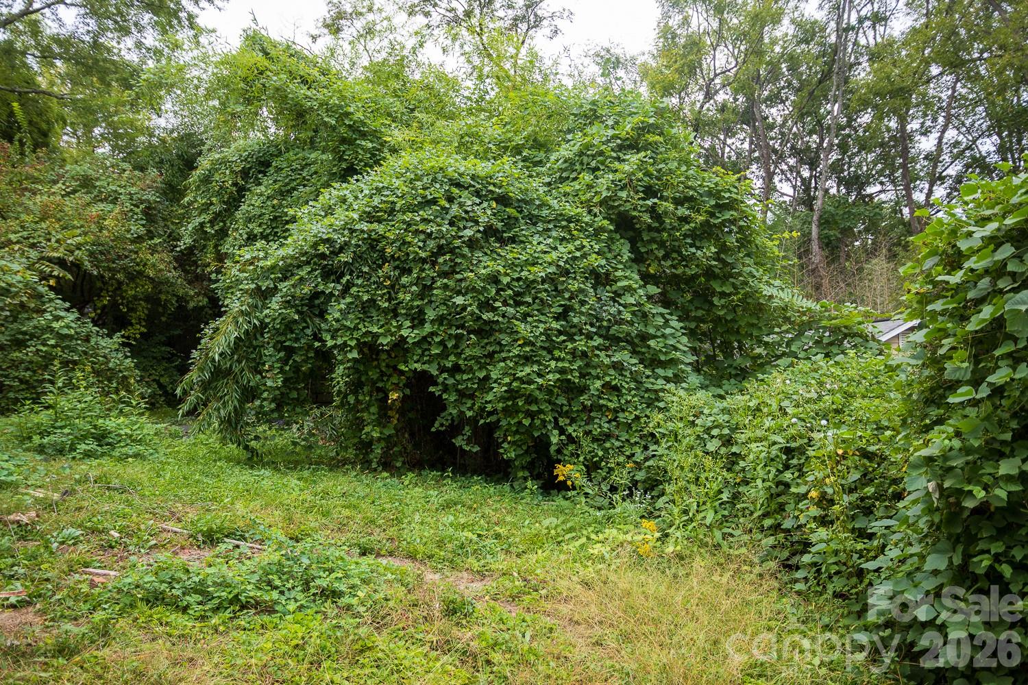 55 Blalock Avenue Property Photo 9