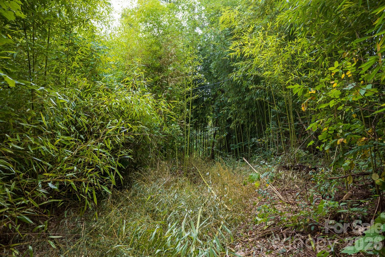 55 Blalock Avenue Property Photo 15