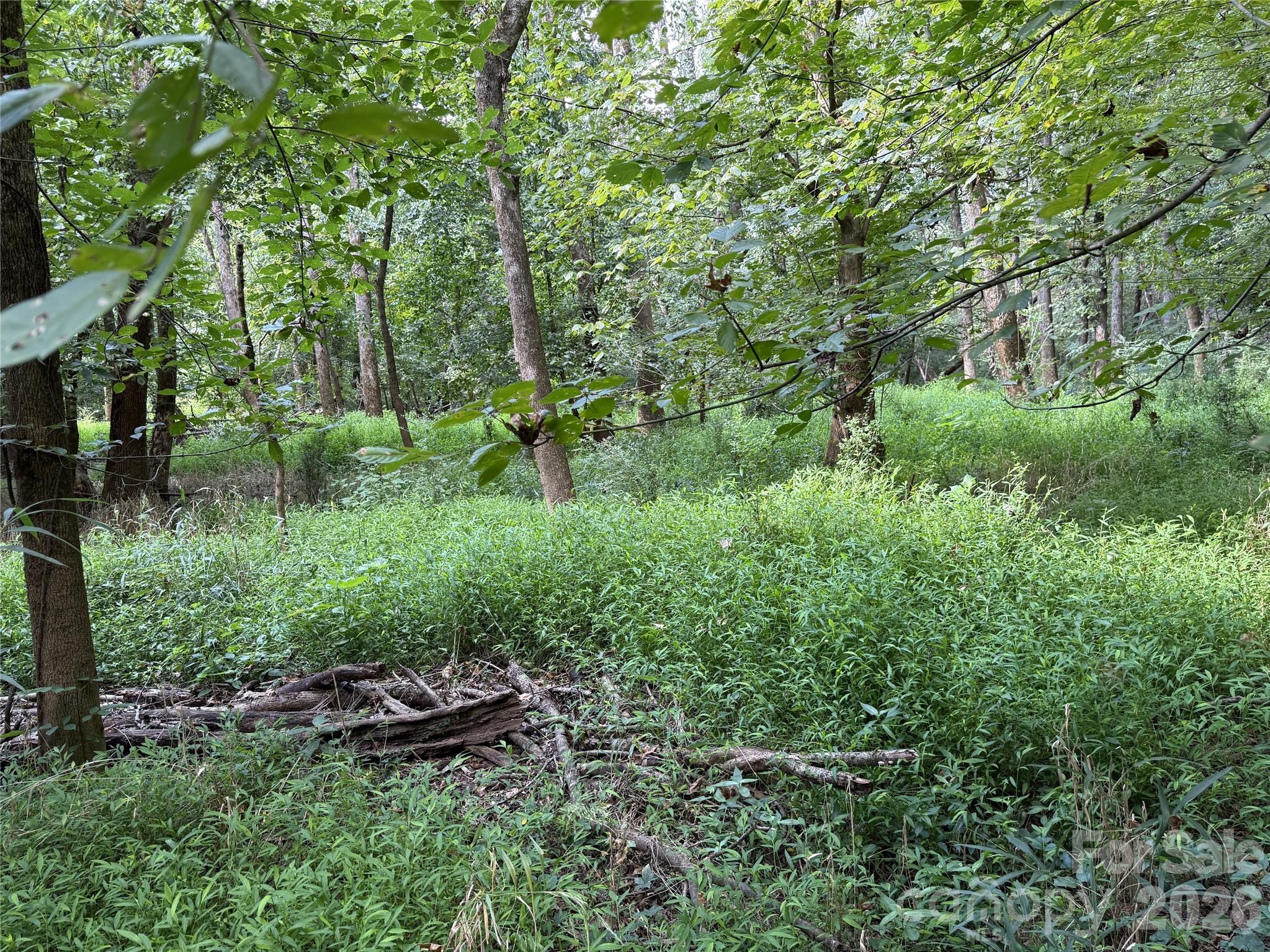 13314 Baker Mills Road Property Photo 13