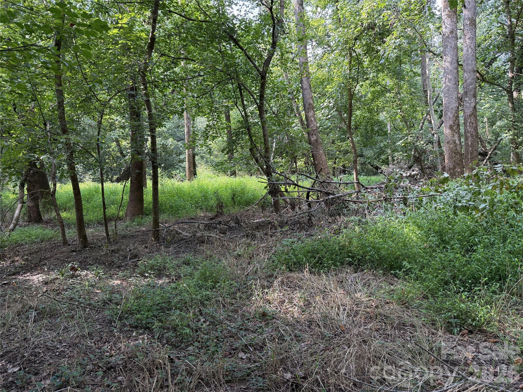 13314 Baker Mills Road Property Photo 14
