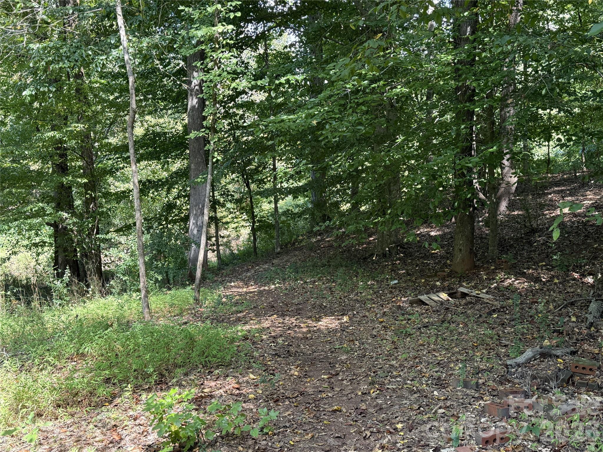 13314 Baker Mills Road Property Photo 20