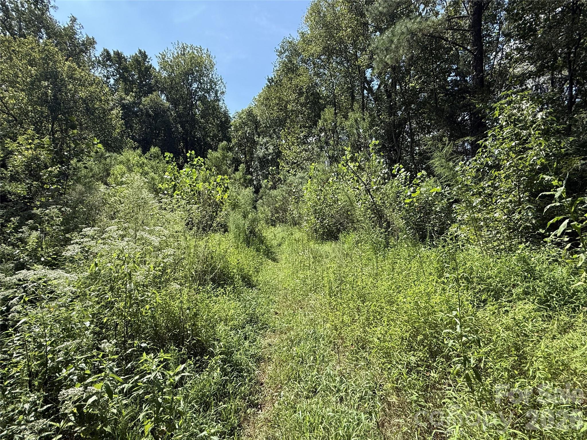 13314 Baker Mills Road Property Photo 27