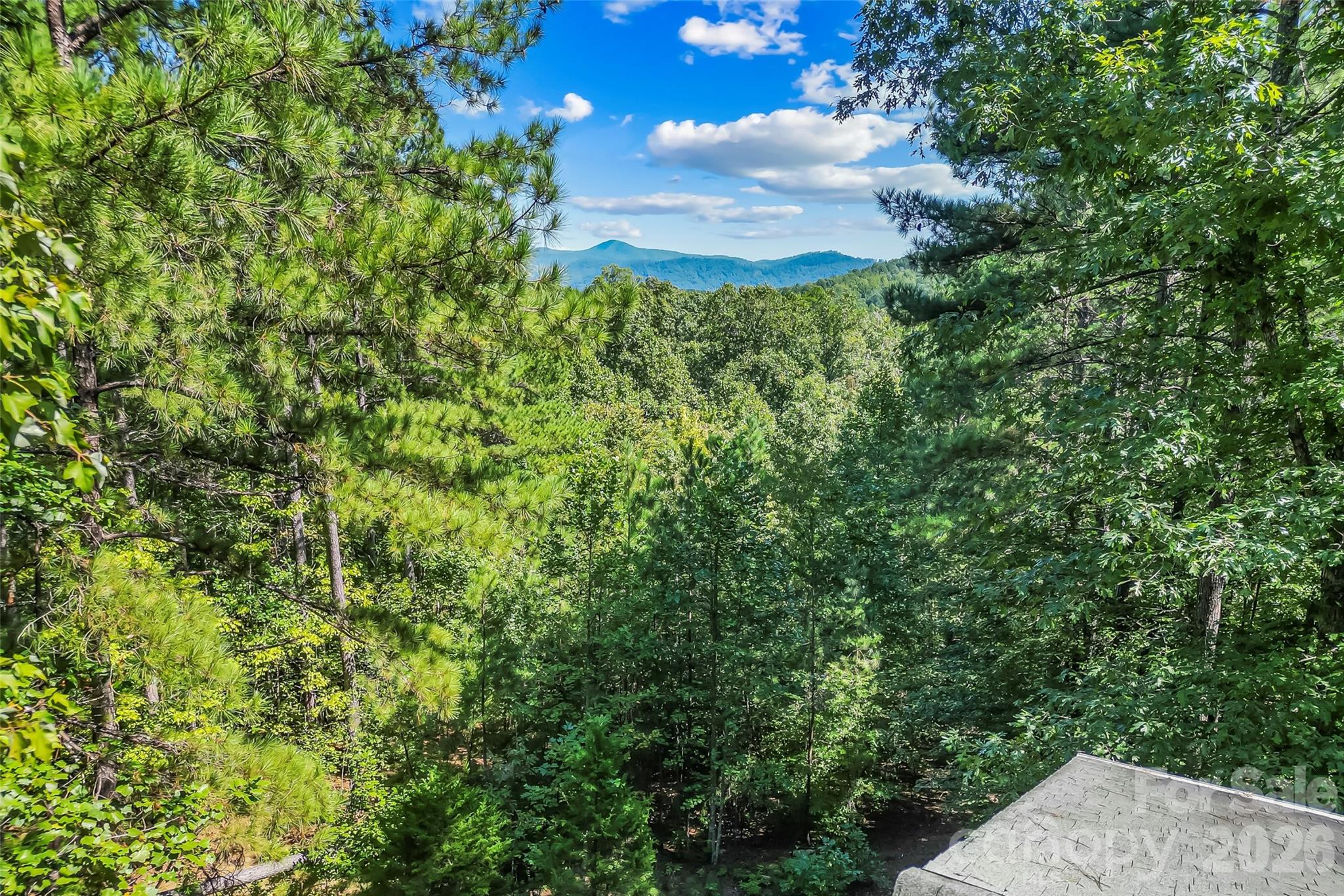 77 Dunn Trail Property Photo 30